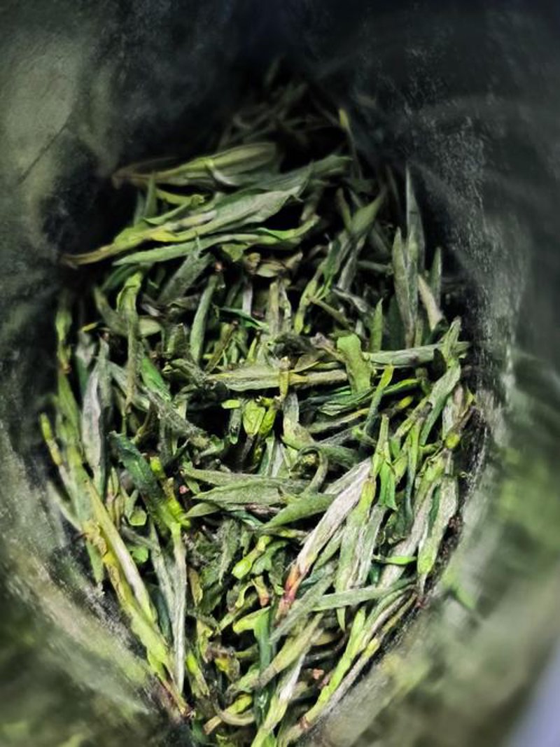 三潭枇杷：春季美食的甜蜜使者