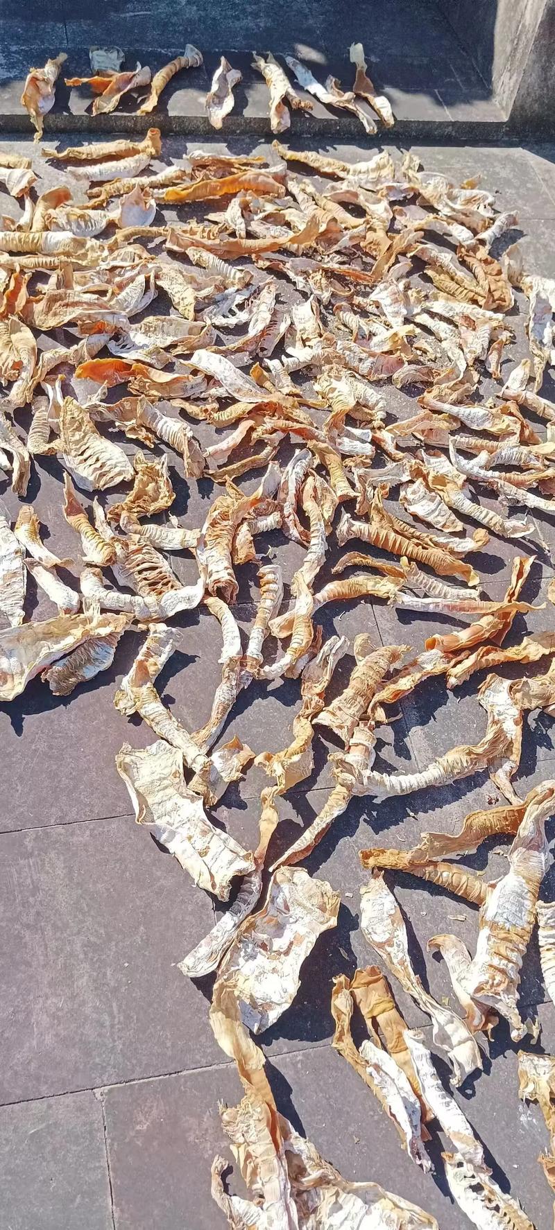 三潭枇杷的挑选与食用小技巧