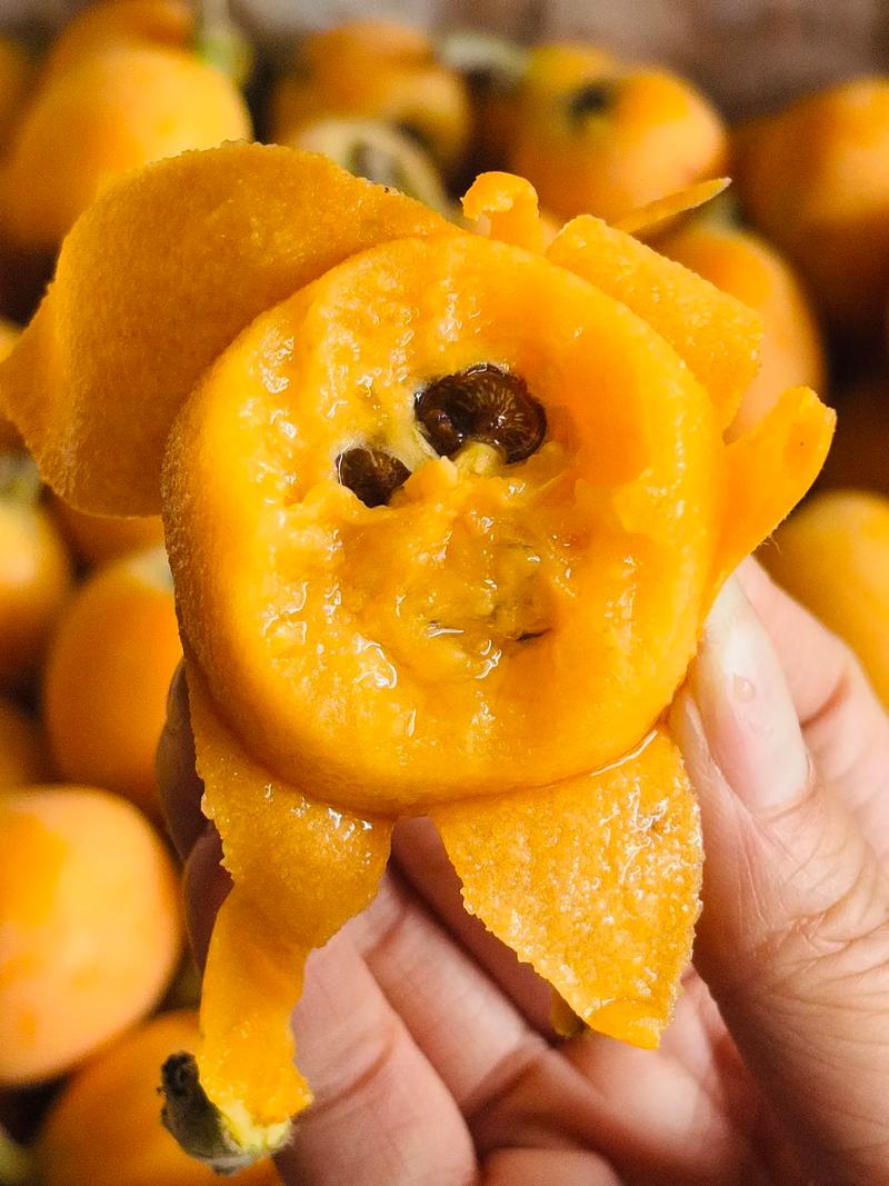 品味春天——三潭枇杷的魅力