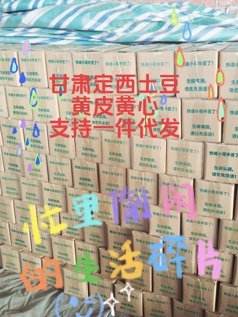 发现歙县茗香的秘密:茶叶采摘与制作技巧