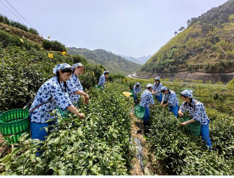 徽州土特产：让舌尖上的地道风味穿越千山